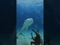غواص لا يعرف الخوف و يسبح مع القروش 