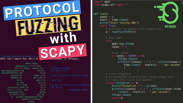Fuzzing with Scapy: Introduction to Network Protocol Fuzzing