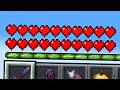 I Reached 20 Hearts on the Lifesteal SMP