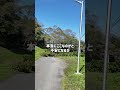 人気観光地の松島とは思えない秘境の宿「霊泉亭」知ってますか?#松島 #宮城 #温泉 #霊泉亭