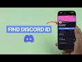 How to Find Discord ID?