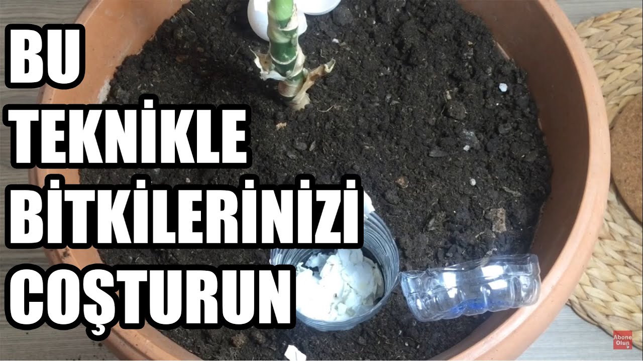 Çiçek Ve Bitki Coşturan Organik Gübre Karışımı