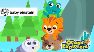 Making A Journey With Salmon More Ocean Explorers Baby Einstein Learning Show For Toddlers