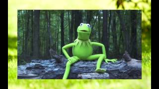 ALS Ice Bucket Challenge Kermit the Frog