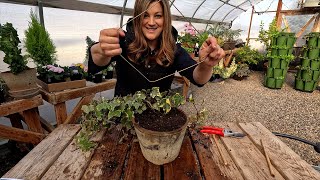 DIY Ivy Wreath Topiary + Planting Snapdragon & Delphinium Seeds!  // Garden Answer