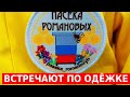 противороевые они же приростные отводки ставим на свои места/сибирский пчелоблог