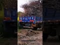 The process of moving piles of dry twigs using a unique method #shorts