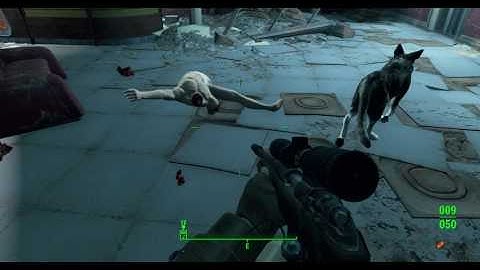 Fallout 4 Bug collision (1)