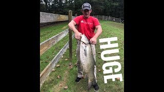 60 pound carp with bow adventure!!!