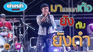 Video thumbnail of "มานอนนาเด้อ+ยังดัม - ยังดำ l ผ่าเหล่าแบนด์ l แสดงสด HD"