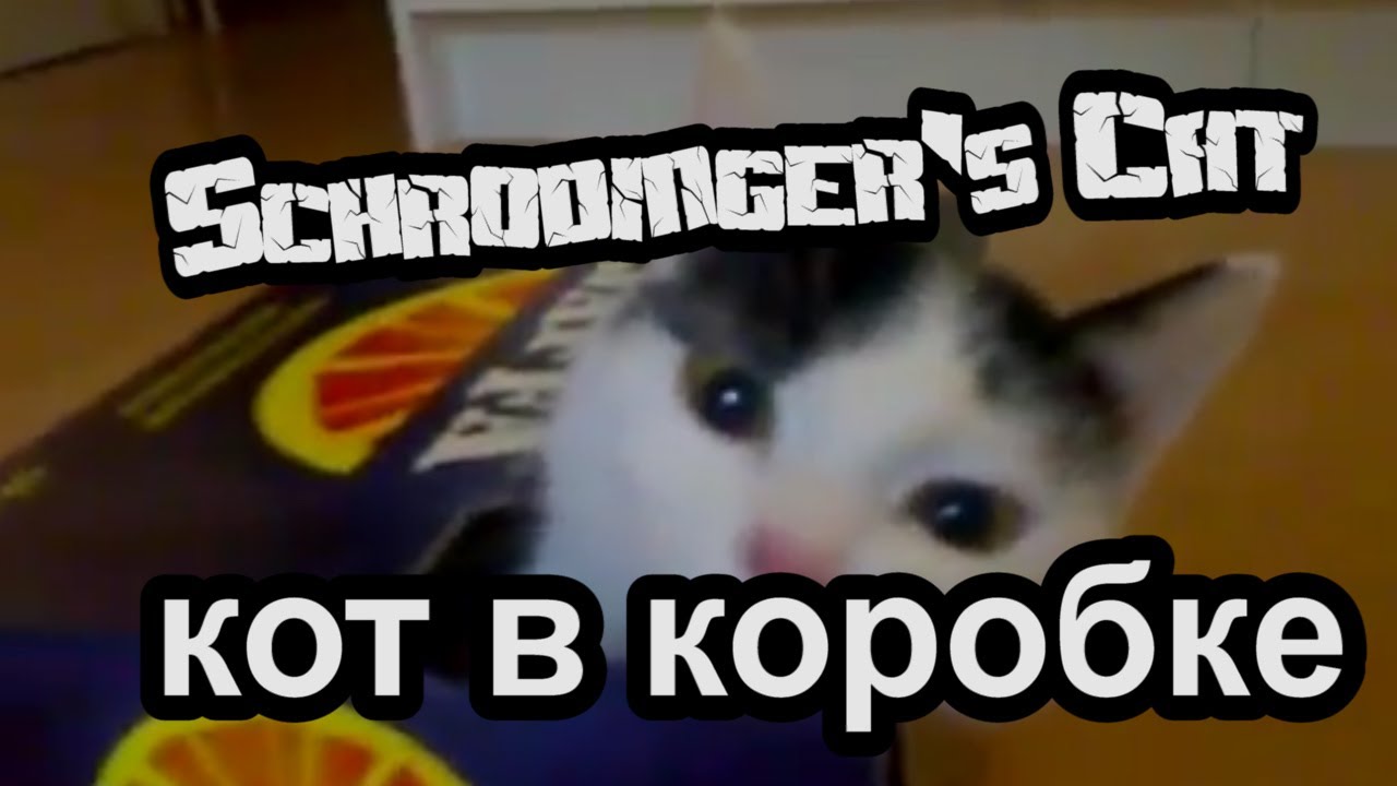Кот Шреденгера (Кот в корбке) Schrodinger's Cat (Cat inbox) - YouTube