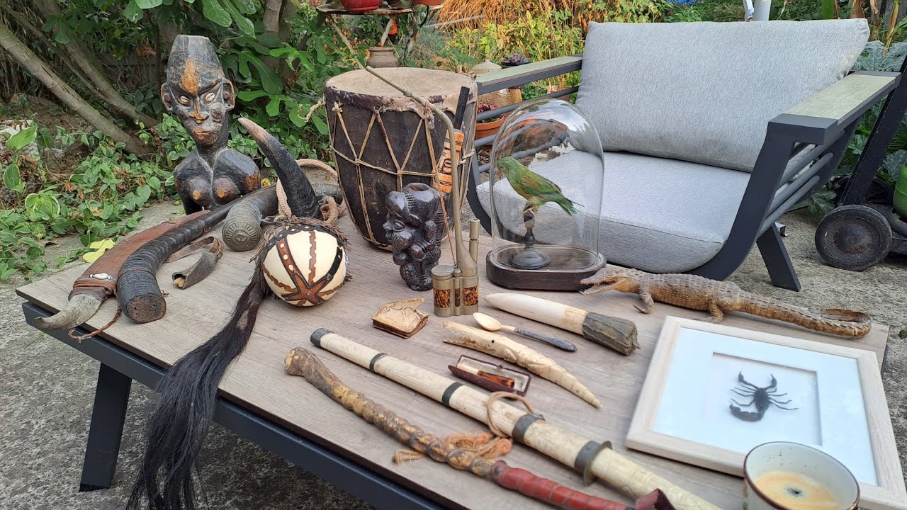 Ivoire, écailles de tortues et autres animaux en brocante !