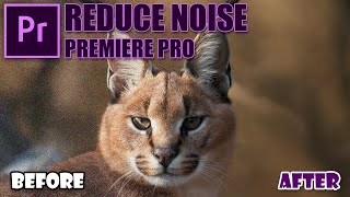 Cara Menghilangkan Noise Pada Video - Adobe Premiere Pro