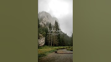 ولا تقولوا لمن يقتل في سبيل الله أموات بل أحياء ولكن لاتشعرون | الآية 154 من سورة البقرة