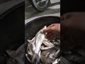 ikan nilem!!! hasil #mancing #shortvideo