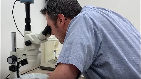 Oil-Air Products Gravimetric Testing Process