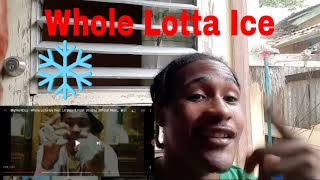 Oh Yea! WalkBigDog - Whole Lotta Ice (feat. Lil Baby \& Pooh Shiesty) [Official Music Video] REACTION
