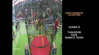 JUARA 5 MURAI BATU SESI #16🔥 MB TANJIDOR KAIS BABA S TEAM