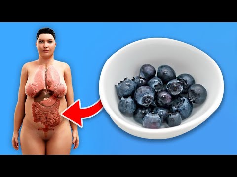 🫐 7 überraschende Effekte, die der Verzehr von Heidelbeeren auf die Gesundheit deines Körpers hat! 😋