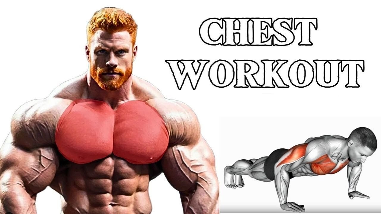 Best Push Up Variations for a Strong Chest No Equipment Needed - YouTube