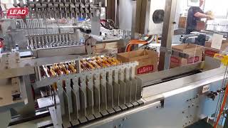 Full RSC Case Packer PL 60 for doypack bags1 Guide