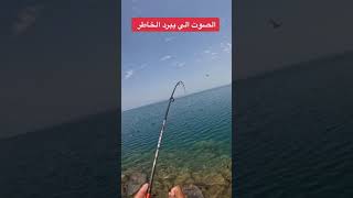 fishing #fish# تعلم_صيد اسماك #تعلم_صيد اسماك #سمك #السمكة# الاسماك #شعفن #سردين #صيد اسماك_