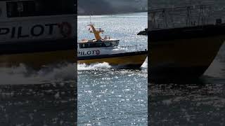 Pilot boat on the water in Long Beach
Pilot boat on the water in Long Beach Pilot boat on the water in Long Beach