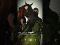 اقبلة ام الغزال ام العيون النرجسية باسم أميره جديد قابله للتعديل بالأسماء