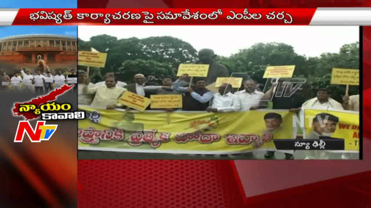 TDP MPs Protest for 