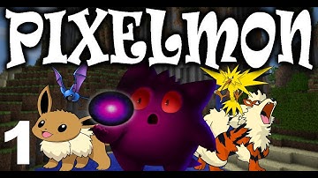 Minecraft: Pixelmon Let