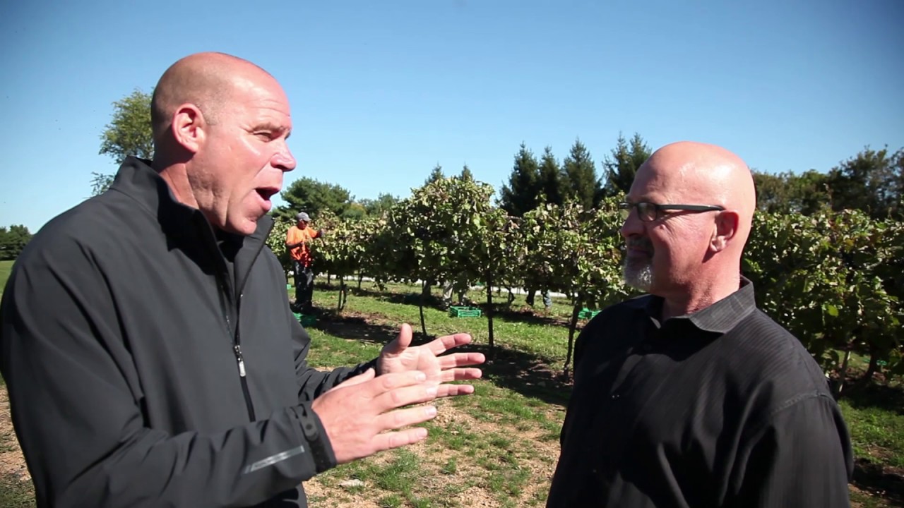 See Wedding Venues Philadelphia PA 215-860-5899 Wedding Venues Philadelphia PA