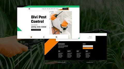 Download a FREE Header and Footer for Divi’s Pest Control Layout Pack