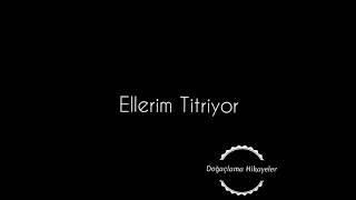 Ellerim Titriyor