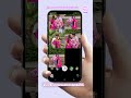 happy valentine day ❤️ romantic couple aesthetic | rose day love edit | learn with mahek