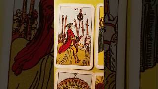 pet chose these cards by throwing them