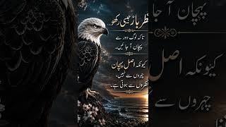 🦅 Eagle Vision Mindset | Deep Urdu Quotes About Life 🔥#EagleMindset #DeepQuote #Shorts #ViralShorts