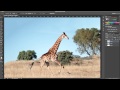 Put Giraffes In The Air 