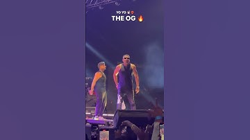 yo yo honey singh energy level delhi concert #shorts #viral #honeysingh #yoyohoneysingh