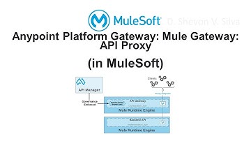 Anypoint Platform Gateway: Mule Gateway: API Proxy (in MuleSoft)