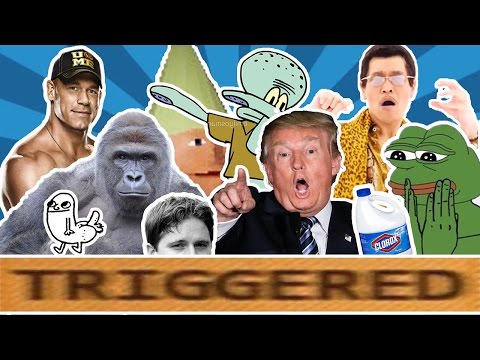 memes-explained---the-meaning-of-10-popular-memes-2016