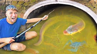 Encontrei Um Monstro Vivendo No Tunel De Esgoto Enquanto Pescava