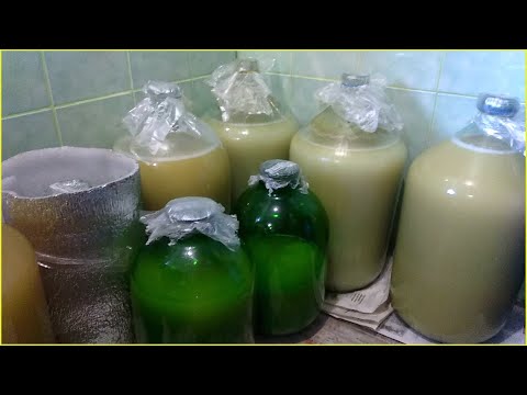 Секрет приготовления белого вина дома: от сока до брожения