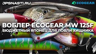 ВОБЛЕР ECOGEAR MW 125F | БЮДЖЕТНЫЙ ЯПОНЕЦ ДЛЯ ЛОВЛИ ХИЩНИКА