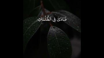 قران كريم / تلاوة خاشعة / راحة نفسية / اسلام صبحي ( وَذَا النُّونِ إِذْ ذَهَبَ مُغَاضِبًا )