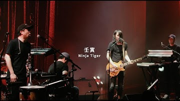 WANG WEN "Ninja Tiger" Official Live Video｜4K full-length