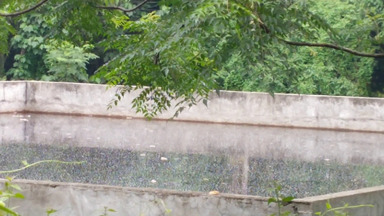 Samal EcoPark/Sanitary Landfill Waste Water Treatment Facility YouTube