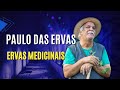 Paulo das ervas  ervas medicinais  filhos do todo 4