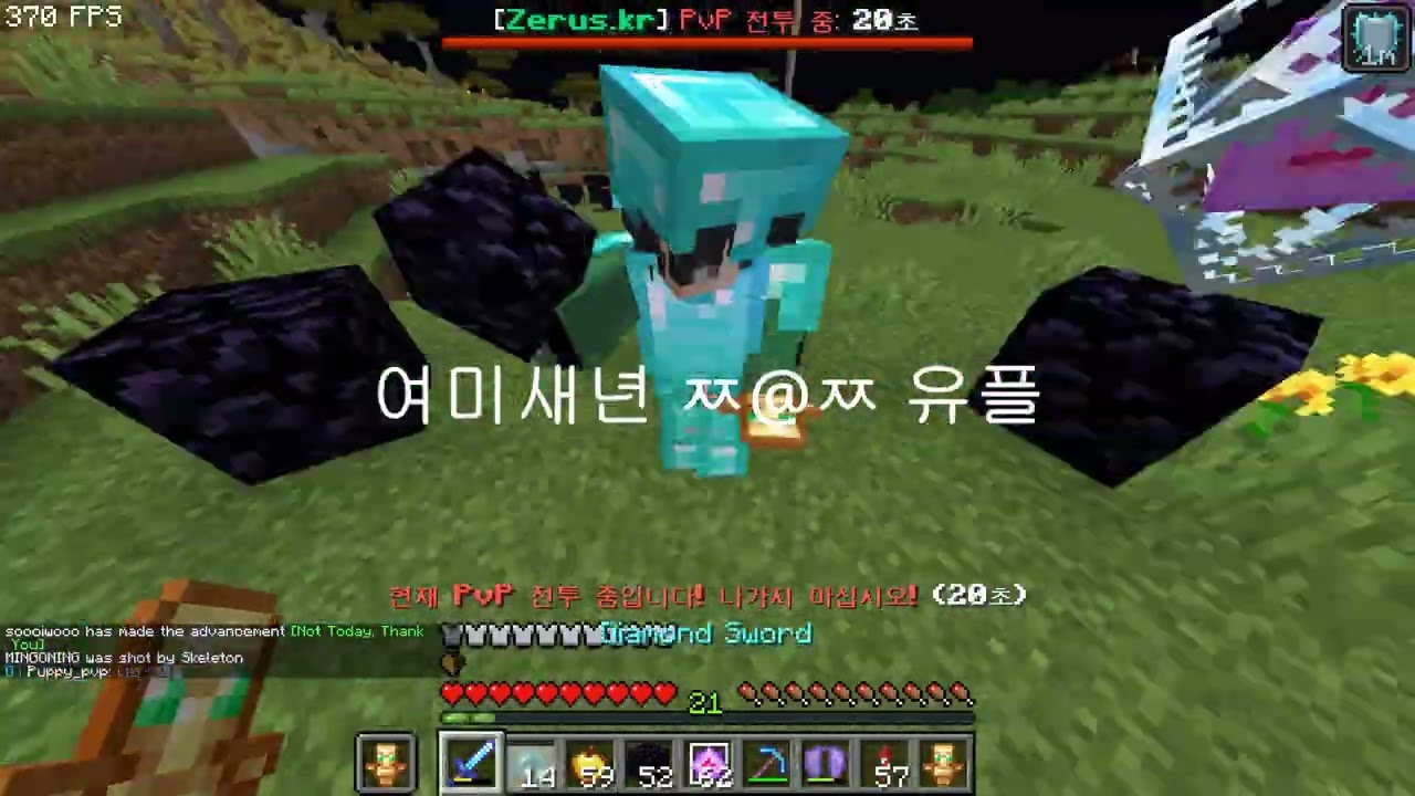 zerus.kr cpvp montage