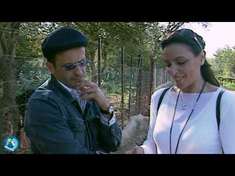 Mudù - Le Brevissime 519
