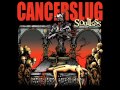 It's All Bullshit - Cancerslug